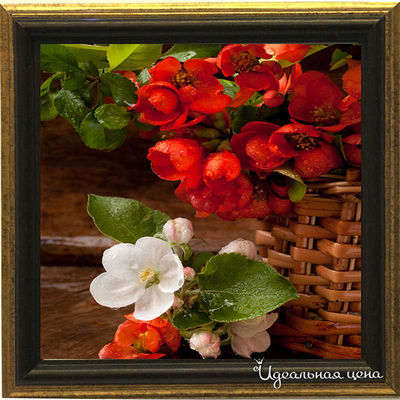 Миниатюра Top posters