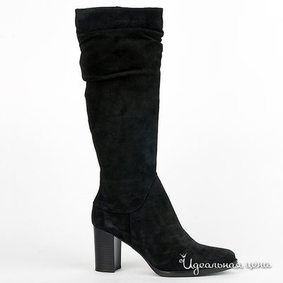 Сапоги Gianmarco Benatti, цвет цвет черный