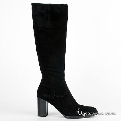 Сапоги Gianmarco Benatti, цвет цвет черный