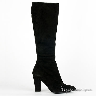 Сапоги Gianmarco Benatti, цвет цвет черный