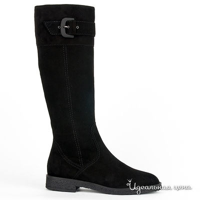 Сапоги Gianmarco Benatti, цвет цвет черный