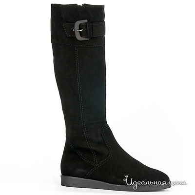 Сапоги Gianmarco Benatti, цвет цвет черный