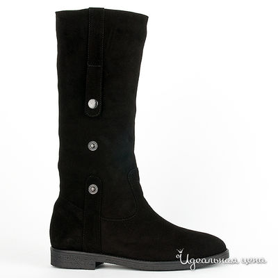 Сапоги Gianmarco Benatti, цвет цвет черный