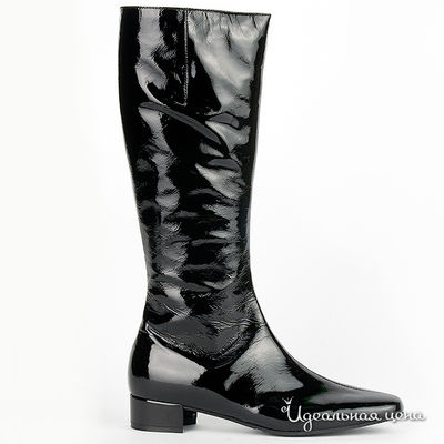 Сапоги Gianmarco Benatti, цвет цвет черный