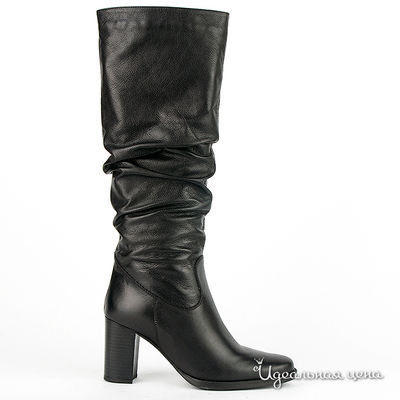 Сапоги Gianmarco Benatti, цвет цвет черный