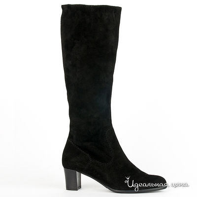 Сапоги Gianmarco Benatti, цвет цвет черный