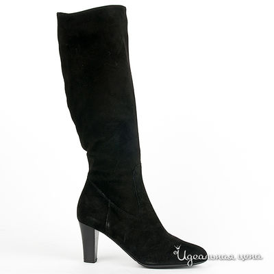 Сапоги Gianmarco Benatti, цвет цвет черный