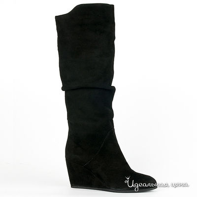 Сапоги Gianmarco Benatti, цвет цвет черный