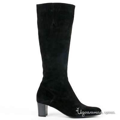 Сапоги Gianmarco Benatti, цвет цвет черный