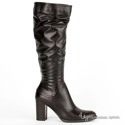 Сапоги Gianmarco Benatti, цвет цвет темно-коричневый