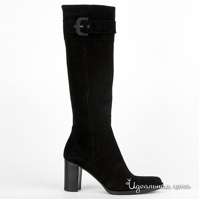 Сапоги Gianmarco Benatti, цвет цвет черный