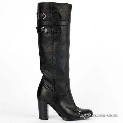 Сапоги Gianmarco Benatti, цвет цвет черный