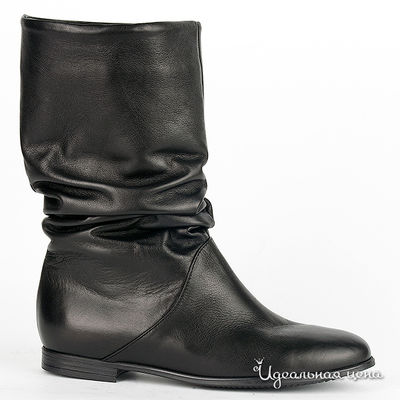 Сапоги Gianmarco Benatti, цвет цвет черный