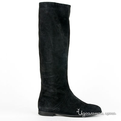 Сапоги Gianmarco Benatti, цвет цвет черный