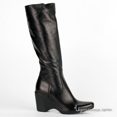 Сапоги Gianmarco Benatti, цвет цвет черный