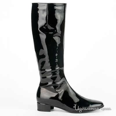 Сапоги Gianmarco Benatti, цвет цвет черный