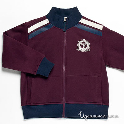 Толстовка R.Zero, K.Kool, MRK, цвет цвет баклажановый