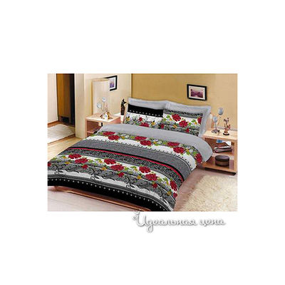 Комплект Susan