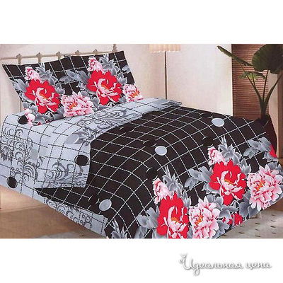 Комплект Susan