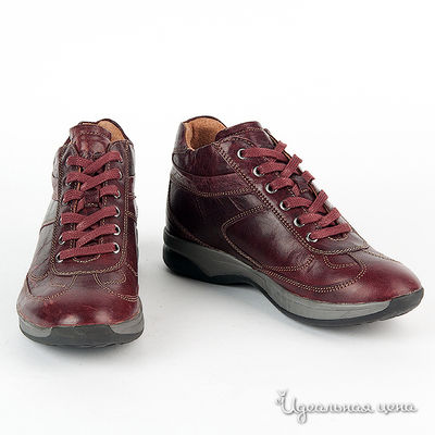 Ботинки Marlboro Classics, цвет цвет бордовый