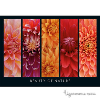 Пазл Ravensburger