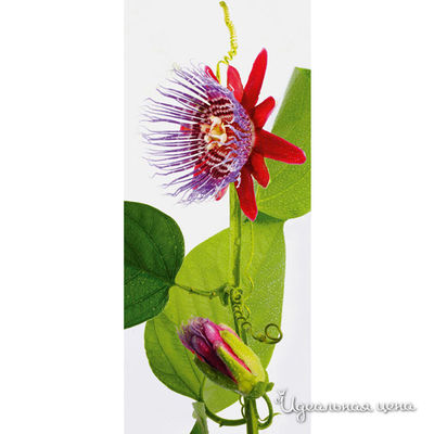 Пазл Ravensburger