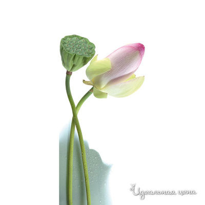 Пазл Ravensburger