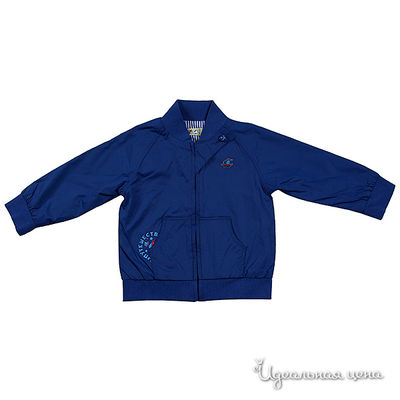 Ветровка Венейя, цвет цвет синий