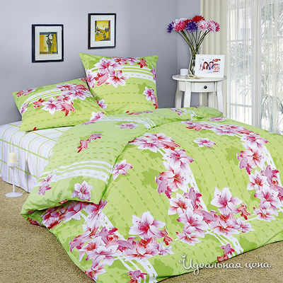 Комплект Domus