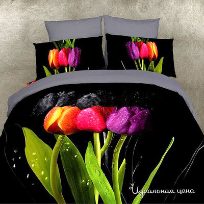 Комплект Bliss