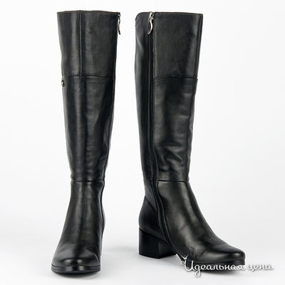 Сапоги Neri&Rossi, цвет цвет черный