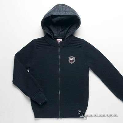 Кофта Iceberg, цвет цвет темно-синий