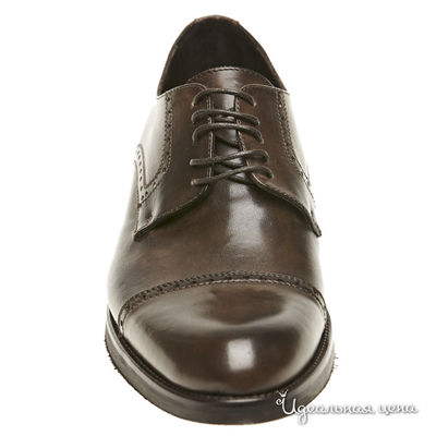 Ботинки Pepe Castell мужские, цвет коричневый