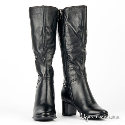 Сапоги Vitacci, цвет цвет черный