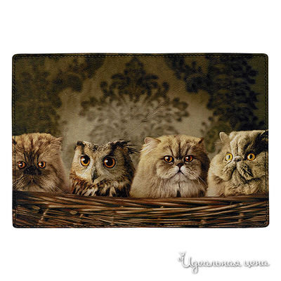 Обложка Cool Cover