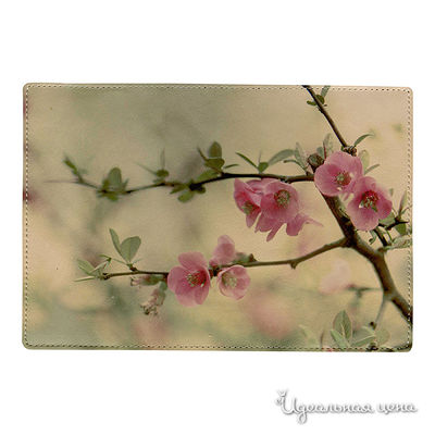 Обложка Cool Cover