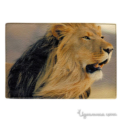 Обложка Cool Cover