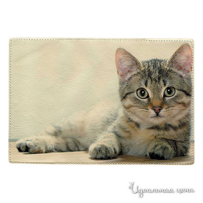 Обложка Cool Cover