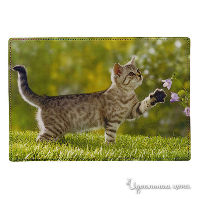 Обложка Cool Cover