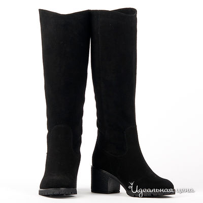 Сапоги Gianmarco Benatti, цвет цвет черный