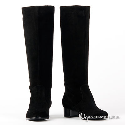 Сапоги Gianmarco Benatti, цвет цвет черный