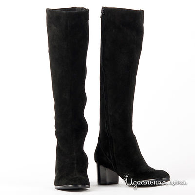 Сапоги Gianmarco Benatti, цвет цвет черный