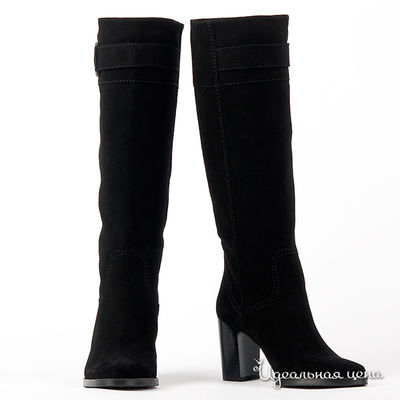 Сапоги Gianmarco Benatti, цвет цвет черный