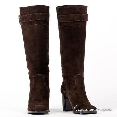 Сапоги Gianmarco Benatti, цвет цвет коричневый