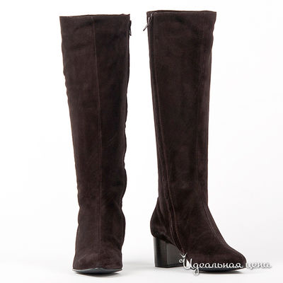 Сапоги Gianmarco Benatti, цвет цвет темно-коричневый