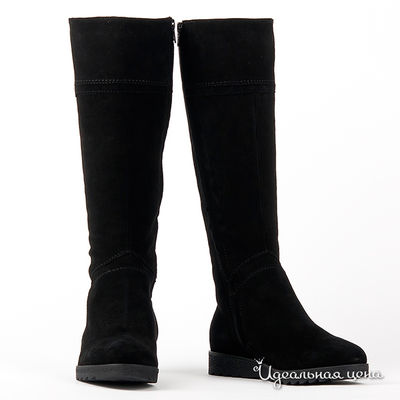 Сапоги Gianmarco Benatti, цвет цвет черный