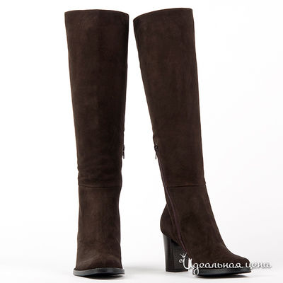 Сапоги Gianmarco Benatti, цвет цвет коричневый