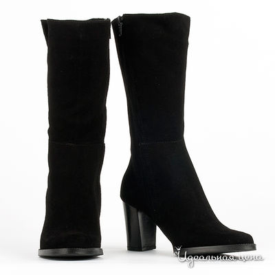 Сапоги Gianmarco Benatti, цвет цвет черный