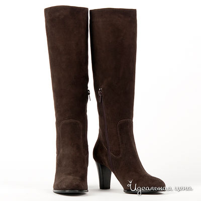 Сапоги Gianmarco Benatti, цвет цвет коричневый