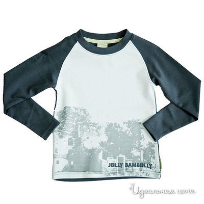 Футболка Jolly Bambolly, цвет цвет серый